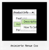 Animierte Menue Css Gif Radio