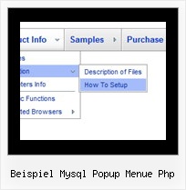 Beispiel Mysql Popup Menue Php Flash Topbar Mit Untermenue