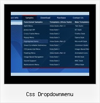 Css Dropdownmenu Menue Senkrecht
