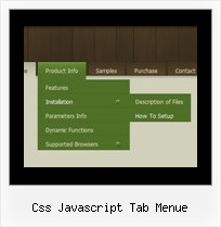 Css Javascript Tab Menue Registerkarte In Html