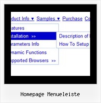 Homepage Menueleiste Mouseover Info Menu