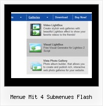 Menue Mit 4 Submenues Flash Css Und Menue