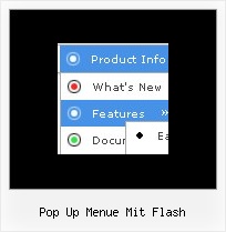 Pop Up Menue Mit Flash Radiobutton Stil