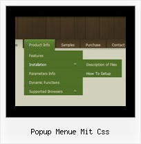 Popup Menue Mit Css Beispielseite Menu