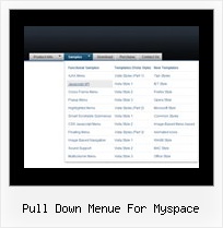 Pull Down Menue For Myspace Layer Menue