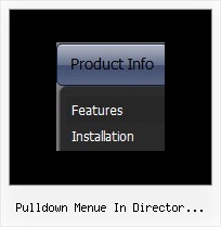 Pulldown Menue In Director Erstellen Javascript Image Menue