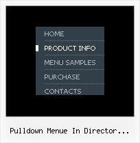 Pulldown Menue In Director Erstellen Html Schaltflaechen Galerie