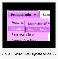 Visual Basic 2008 Dynamisches Menue Web Button Hinzugefuegt