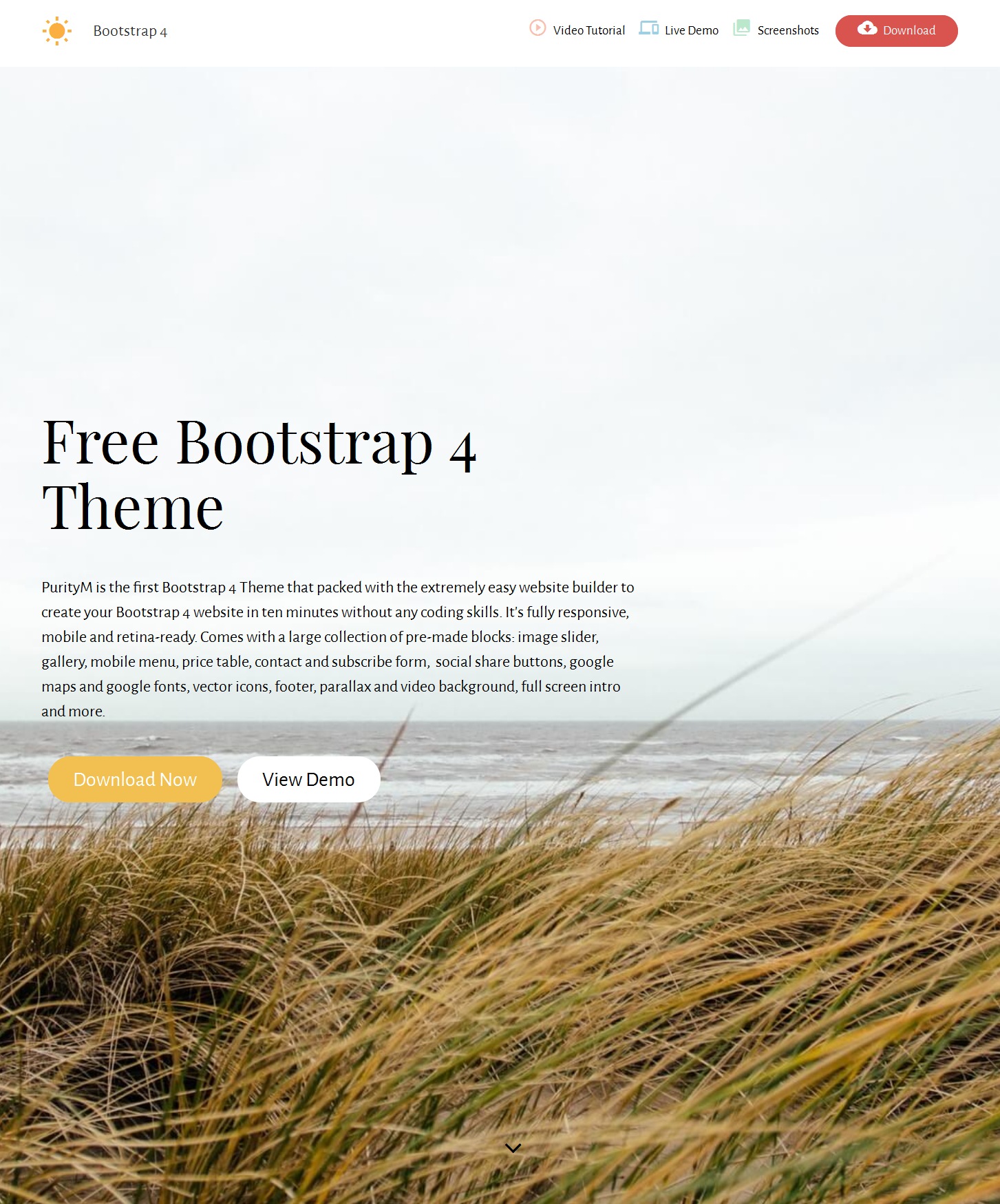 HTML Bootstrap Magazine Theme