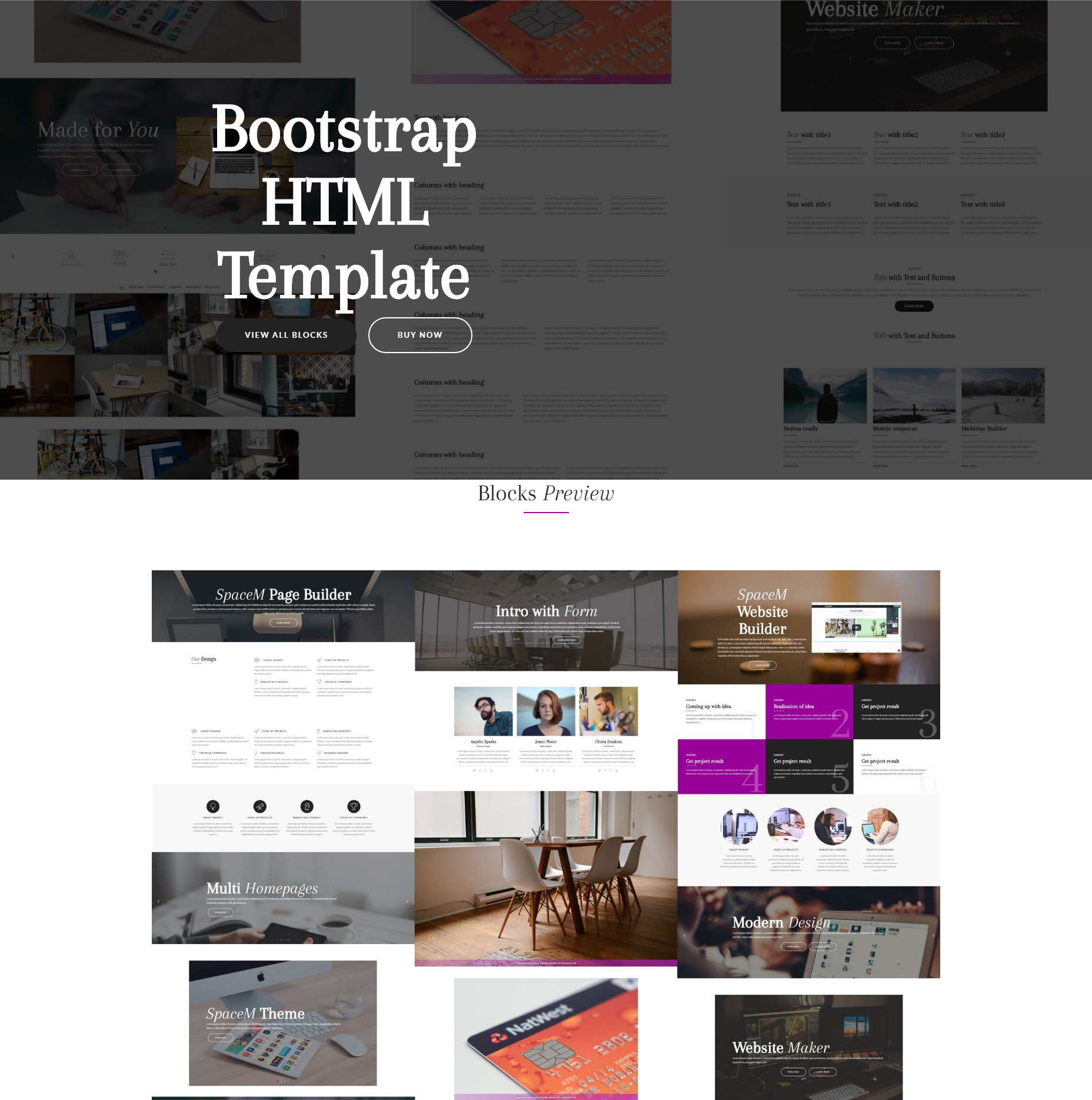 Free Download Bootstrap SpaceM Themes