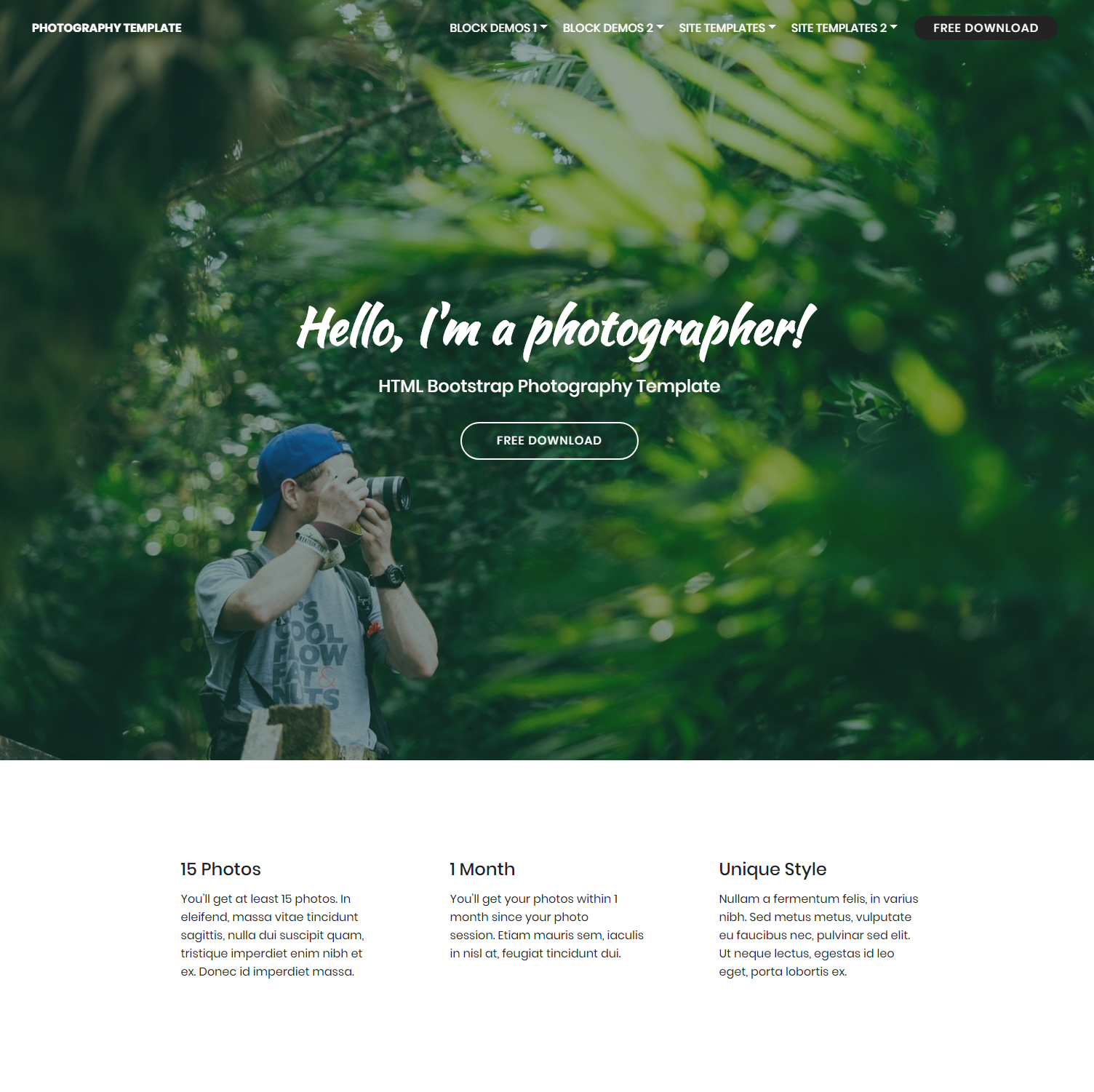 Responsive Bootstrap Photography Themes